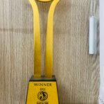 INDIA 500 AWARDS